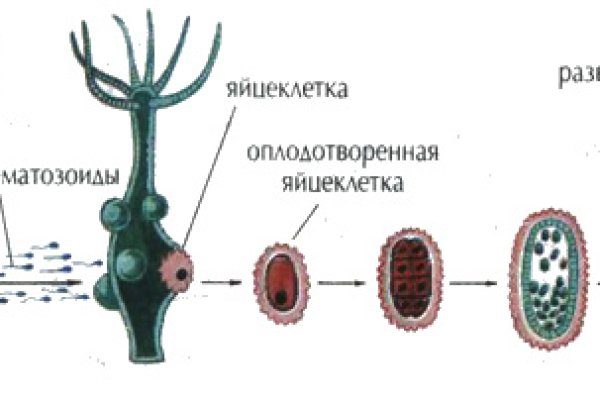 Актуальная ссылка на кракен kraken