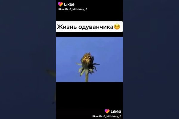 Через какой браузер можно зайти на кракен