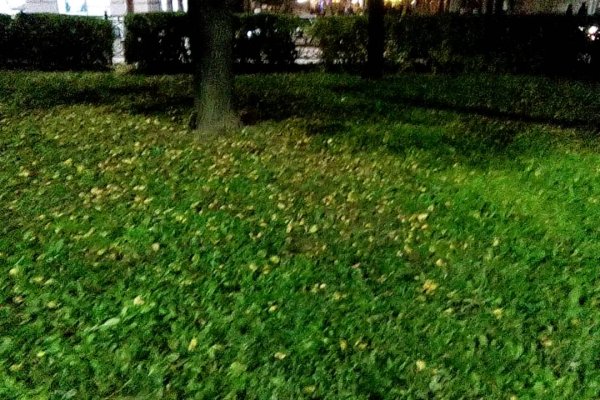 Ссылки кракен телеграф
