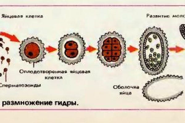 Кракен актуальная ссылка на сегодня
