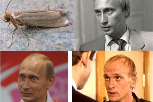 Кракен зеркало сегодня